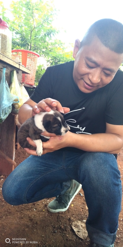 深圳相亲的第一张照片--广东交友中心